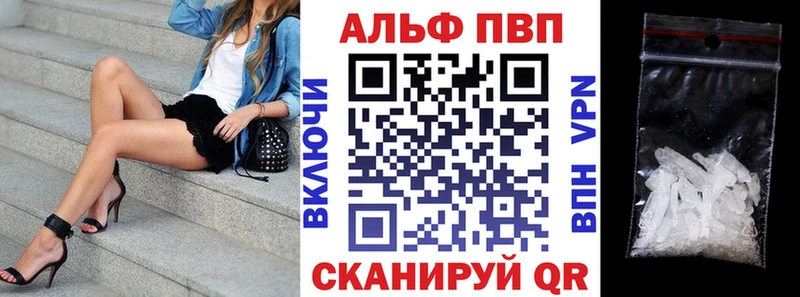 дарнет шоп  ссылка на мегу сайт  Alfa_PVP крисы CK  Артём 