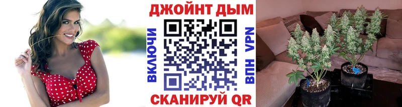 Каннабис планчик  Артём 